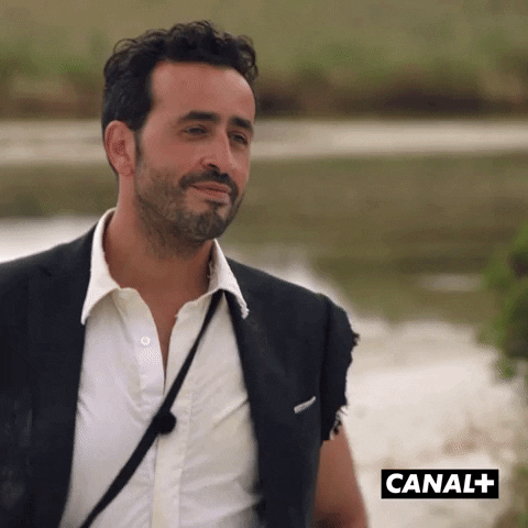 Happy Fun GIF by CANAL+