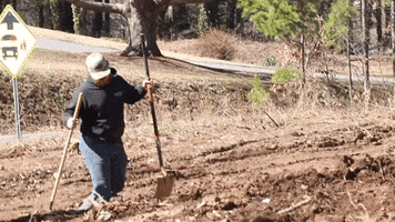Gardening Shovel GIF by JC Property Professionals