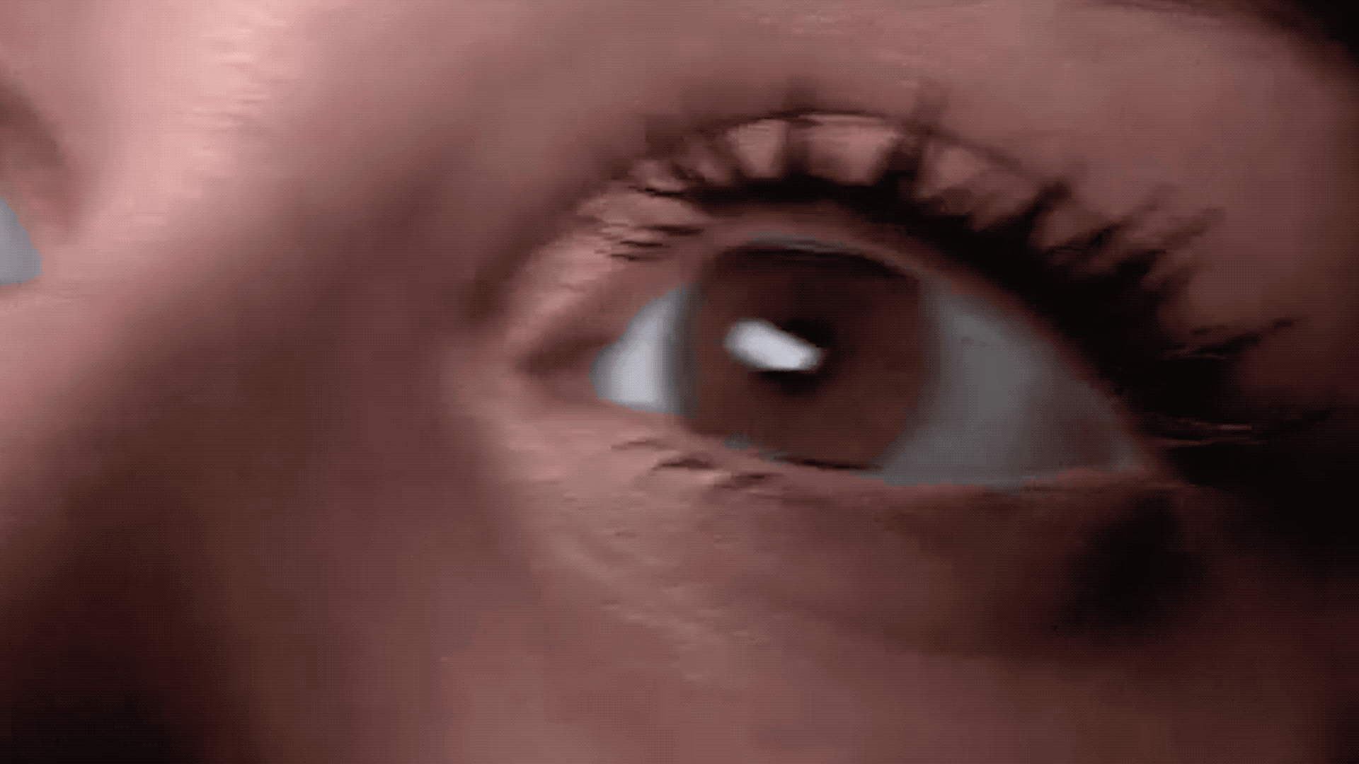 Eyes Blink GIF By Terror Jr Find Share On GIPHY