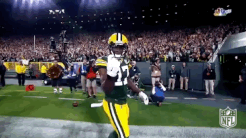 davante adams touchdown gif davante adams touchdown gif