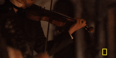 200.gif?cid=fc005b08a378ce3f0684e9199bb36955a41cd12710152ceb&rid=200.gif&ct=g