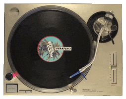 vinyl scratching GIF by DJ Steve Clash