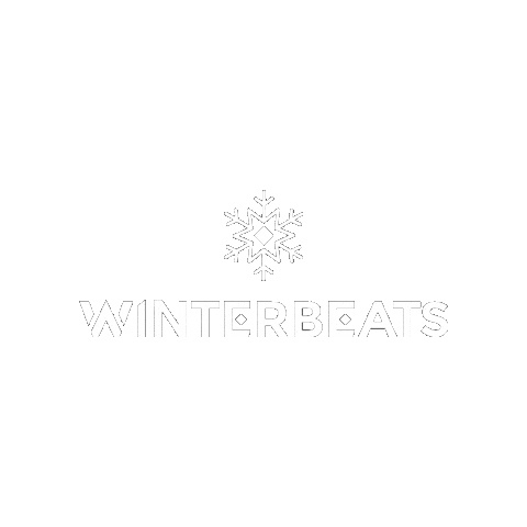 Party Festival Sticker by Winterbeats