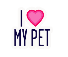 Animated Sticker