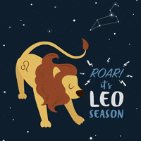 Leo Season GIF by evite