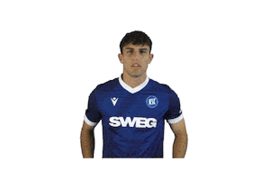 Soccer Goal Sticker by Karlsruher SC