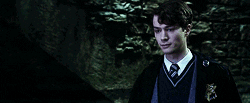  harry potter hp hpedit lord voldemort tom riddle GIF