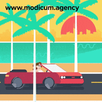 Driving Road Trip GIF by Modicum