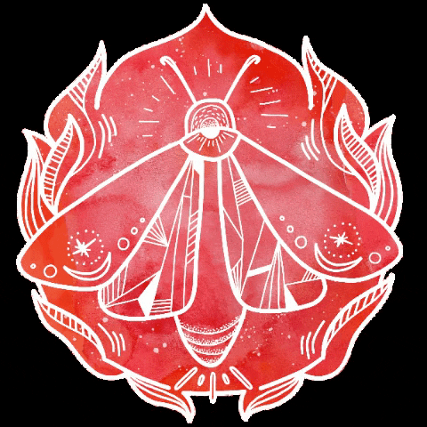 Firefly Yoga Center GIF