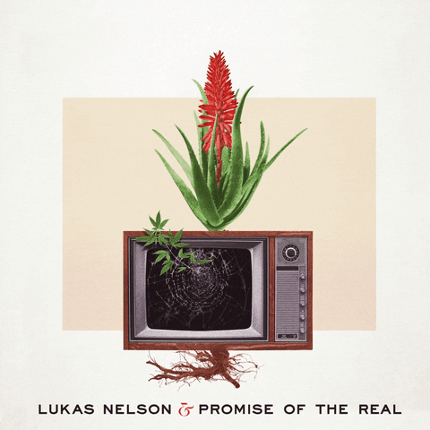 Lukasnelson GIF by Lukas Nelson & Promise Of The Real
