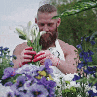 200.gif?cid=fc005b08c71b785f3d3bde4424e5d3ced9481fbf74bd0f60&rid=200.gif&ct=g