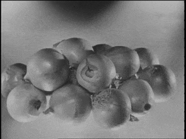 Onions Casserole GIF by US National Archives