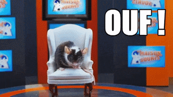 Ouf Souris GIF by CANAL+
