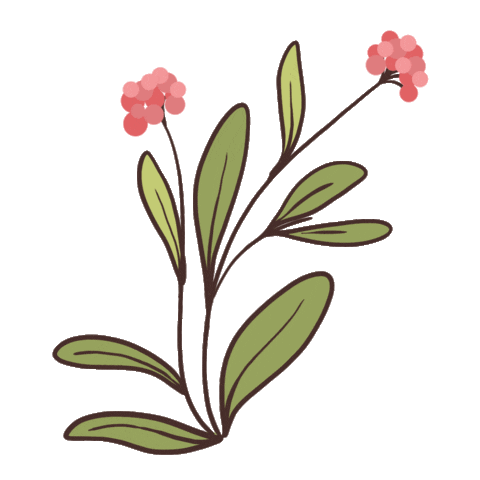 Nature Sticker