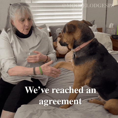 Happy Sleep GIF by Moose Lodge Senior Pet Sanctuary