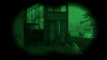 Stalker GIF by GSC Game World