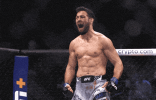Fight Ufc GIF by promaslist