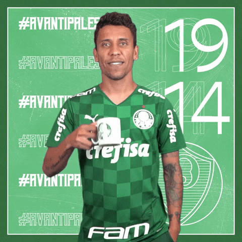 Marcos Rocha Soccer GIF by SE Palmeiras