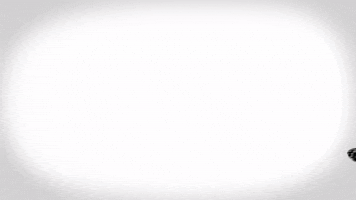 bighouseproductions  GIF