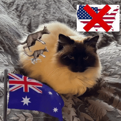Australia GIF