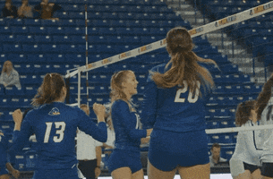 College Sports Celebration GIF by Delaware Blue Hens