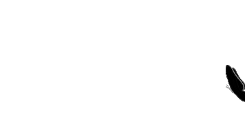 Brandolt Institute Sticker