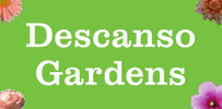 Descanso Gardens GIF