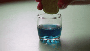 Comida GIF