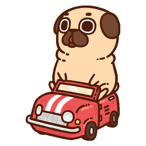 Road Trip Car Sticker by Puglie Pug