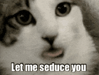 Flirting GIFs - Get the best GIF on GIPHY Flirting GIFs - Get the best GIF on GIPHY