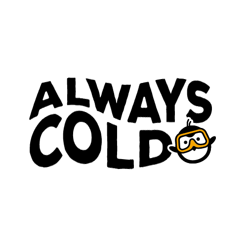 Polar Plunge Virginia Sticker