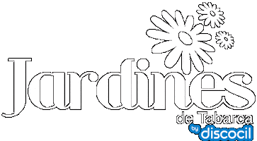 Discocil Jardines De Tabarca Sticker by Appear