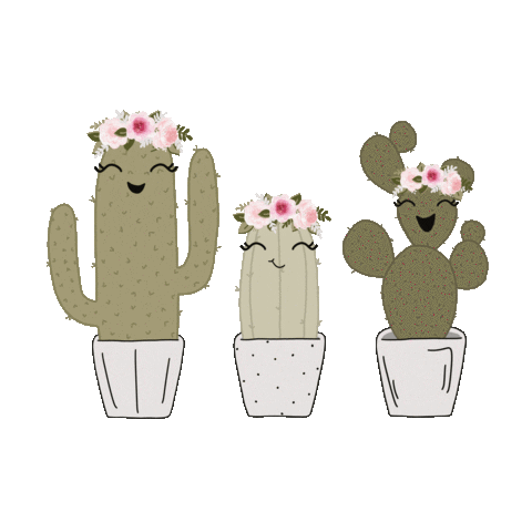 Animated Sticker