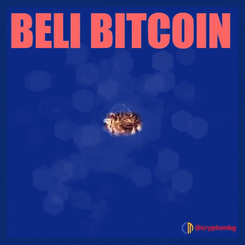 Beli Bitcoin GIF by Crypto Marketing