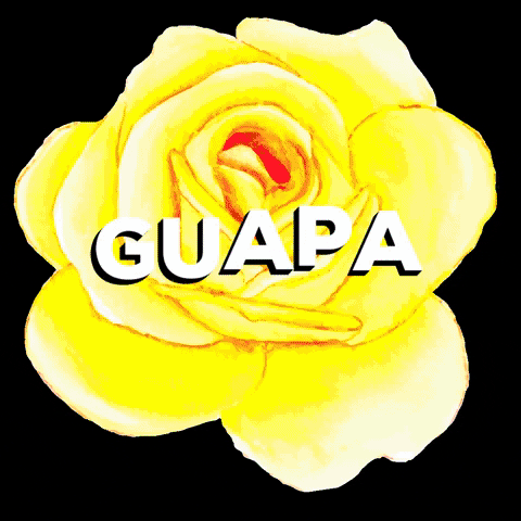 baileflamencoonline GIF