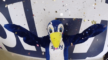 Celebrate New Years GIF by Get Spiffy, Inc.