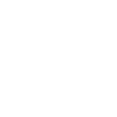 Ferry Homekong Sticker by Vive Hong Kong