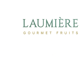 Laumière Gourmet Fruits GIF