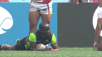 fun swimming GIF by World Rugby