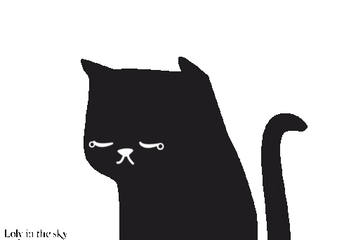 Black Cat No Sticker by Loly in the sky for iOS & Android | GIPHY