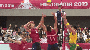 Celebration GIF by Volleyball World