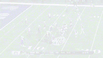 Nfl GIF