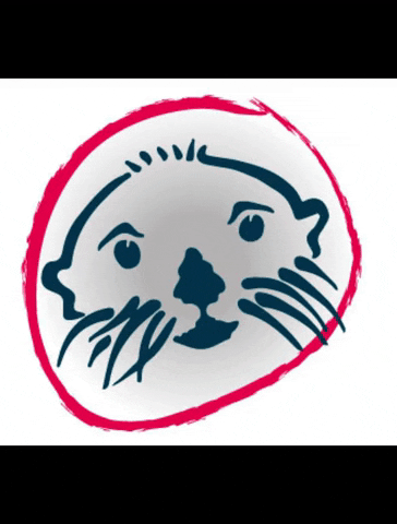 Seaotter GIF by Sea Otter Europe