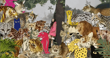 Jungle Animaux GIF by Temple Caché