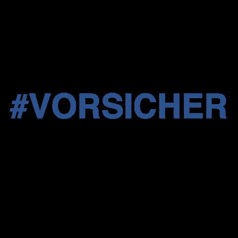 Vorsicher home house safety security GIF