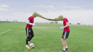 Soccer Goalie GIF by New Mexico United