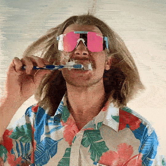 Pit Viper GIF Find & Share on GIPHY