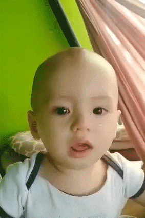 giphy.gif