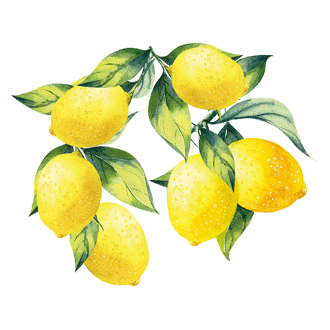 Água das Pedras Sticker