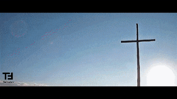 San Francesco Video GIF by TheFactory.video